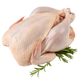 whole frozen chicken