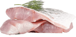 Barramundi Fillets